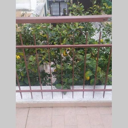 Appto Limone Leilighet Lido di Ostia Eksteriør bilde
